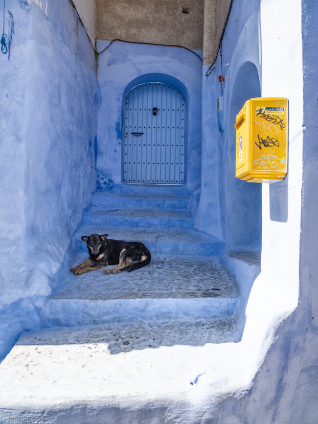 Chefchaouen, Morocco (2023)