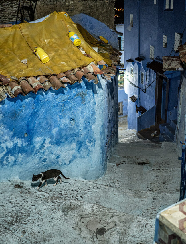 Chefchaouen, Morocco (2023)