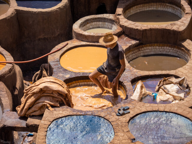 Chouara tannery, Fez, Morocco (2023)