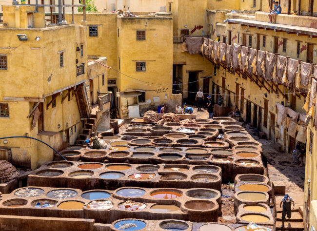 Chouara tannery, Fez, Morocco (2023)