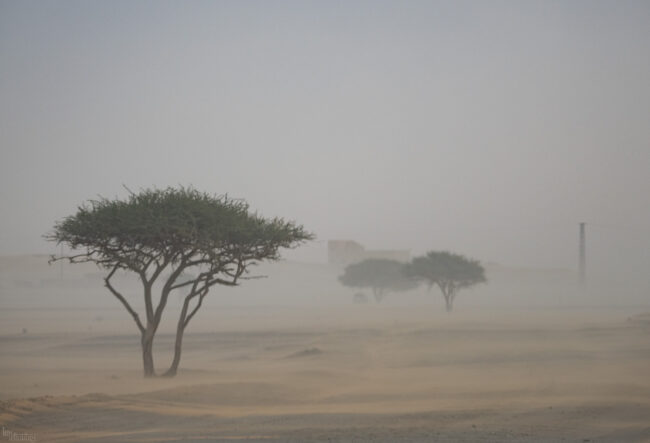 Sandstorm in Sahara, Morocco (2023)