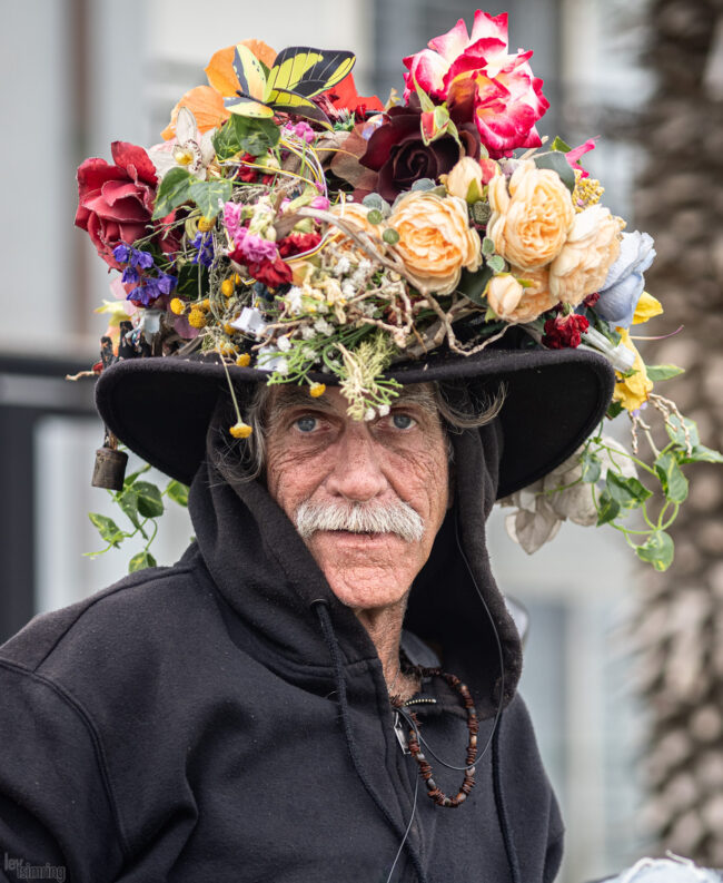 Flowerhead (2023)