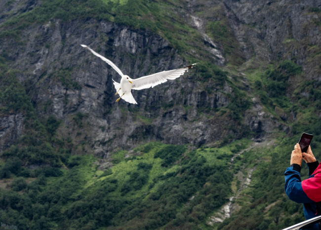 Norway (2024)