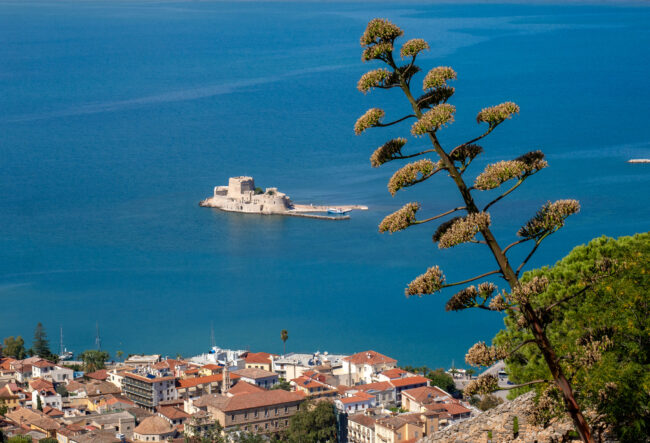 Peloponnese, Greece (2025)